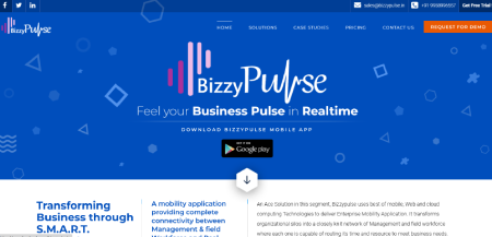 bizzypulse1